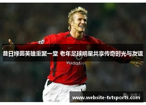 昔日绿茵英雄重聚一堂 老年足球明星共享传奇时光与友谊 昔日绿茵英雄重聚一堂 老年足球明星共享传奇时光与友谊
