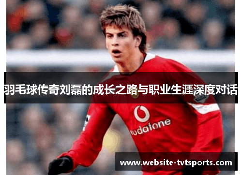 羽毛球传奇刘磊的成长之路与职业生涯深度对话