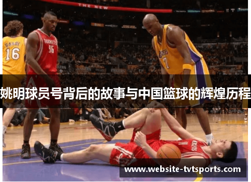 姚明球员号背后的故事与中国篮球的辉煌历程