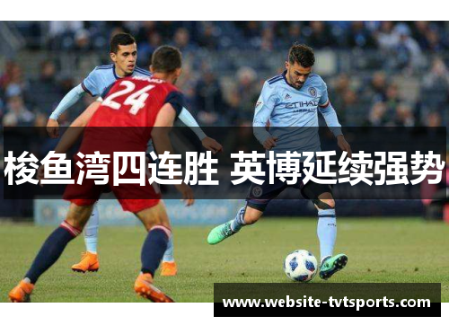 梭鱼湾四连胜 英博延续强势 梭鱼湾四连胜 英博延续强势